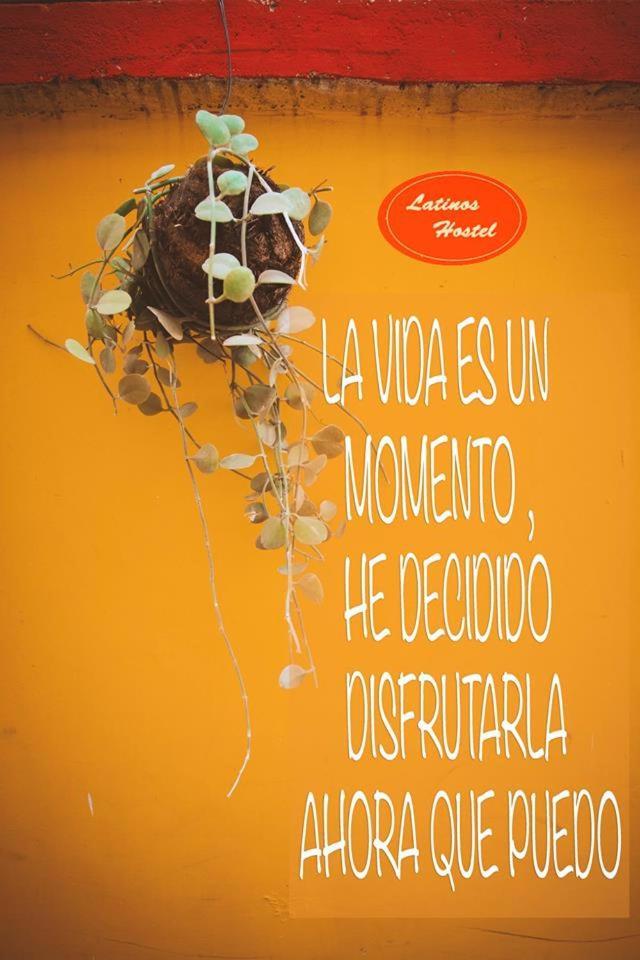 Latinos Hostel シェムリアップ エクステリア 写真